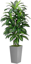 ASTIDY Artificial Plant 5FT Dracaena Fake Tree with Gray Tall Planter by ASTIDY