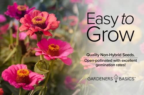 Gardeners Basics Zinnia Seeds for Planting Outdoors Flowers (Thumbelina) - Flower Seed Packet Annual Heirloom, Non-GMO Variety, 800mg Seeds Great for Summer Seeds for Flower Gardens - Image 6