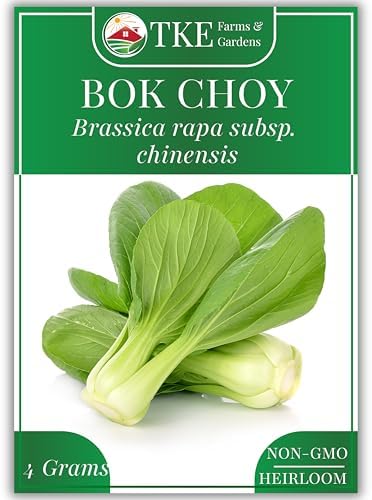 1500+ Bok Choy Seeds for Planting, Baby Asian Greens by TKEFarmsGardens