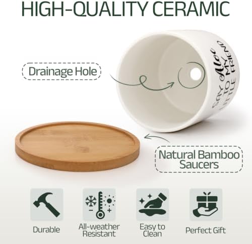 Say Aloe to My Little Friend Planter Pot Plant Lover Set with Bamboo Tray - Image 3