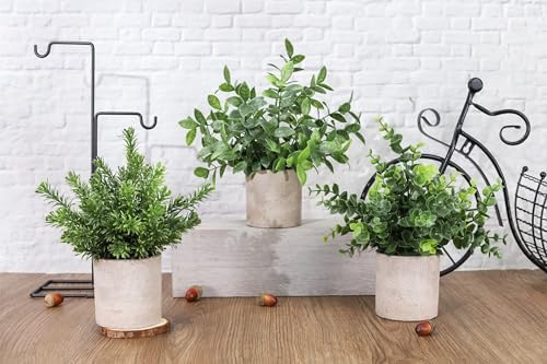 Der Rose 3 Pack Fake Plants Mini Faux Plants for Shelf Classroom Decor - Image 3
