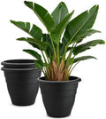 RooTrimmer 3 Pack 20 Inch Large Plant Pots for Outdoor,Heavy Duty Extra Large Deep Garden Planter with Drainage Holes,Sturdy Textured Black Flower Pot for Trees,Shrubs,Patio,Lawn by RooTrimmer