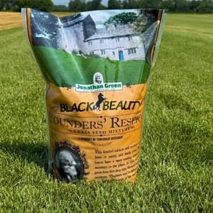 Jonathan Green Black Beauty Founders Reserve Tall Fescue Grass Seed - 25 lb - Image 4
