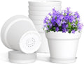 WSMKSZ 4 Inch Plastic Plant Pots with Drainage Holes and Trays – 8 Pack Small Nursery Pots for Indoor & Outdoor House Plants and Flowers, Seedling Starter Planters, White by WSMKSZ
