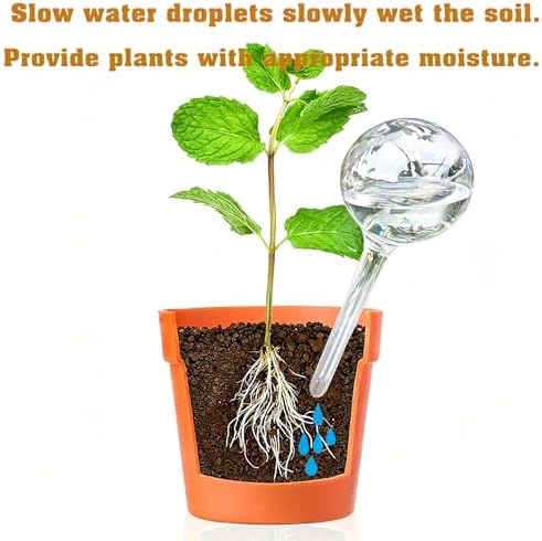 Plant Automatic Watering Devices, Clear Plastic Plant Self-Watering Bulb - Image 6