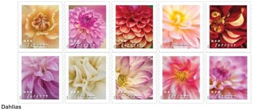 Dahlias 2025 (Strip of 20) First-Class Mail Forever Postage Stamps - Image 2