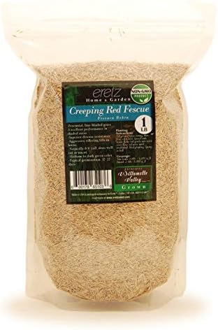 Creeping Red Fescue Seed by Eretz (1lb) - Choose Size! Willamette Valley Oregon Grown, No Fillers, No Weed or Other Crop Seeds, Premium Shade Grass Seed. by Eretz