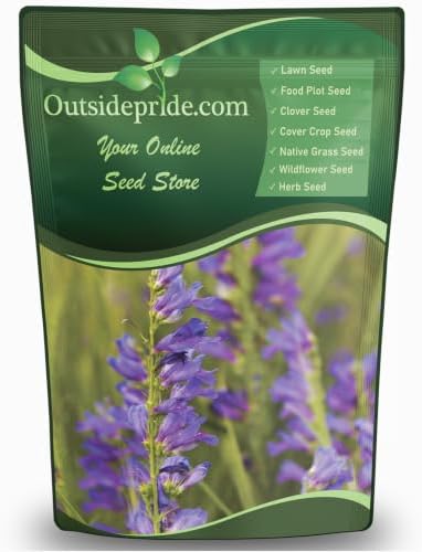 Outsidepride Penstemon Seeds - 1 Lb. Perennial, Drought-Tolerant & Pollinator Friendly, Strictus Rocky Mountain Wildflower Seeds for Planting with Vibrant Blue-Violet Blooms, Ideal for Xeriscaping by Outsidepride