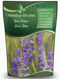 Outsidepride Penstemon Seeds - 1 Lb. Perennial, Drought-Tolerant & Pollinator Friendly, Strictus Rocky Mountain Wildflower Seeds for Planting with Vibrant Blue-Violet Blooms, Ideal for Xeriscaping by Outsidepride