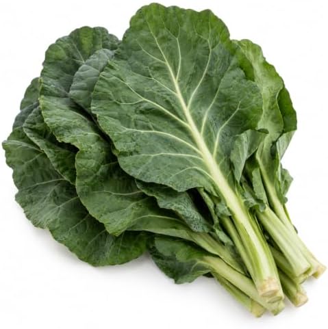 Collard Seedlings: Ready-to-Plant, Starts, Starters, Plugs, Garden Ready, Live Plants, Transplants, Pre-Sprouted, Soil & Hydroponic Gardens (6 seedlings) - Image 5