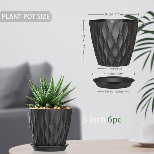 5 Inch Planter Pots, 6 Pack Indoor Planters, Small Flower Pots with Drainage Holes and Tray for Succulents, Orchids, Herbs and Other Indoor Plants,Black - Image 3