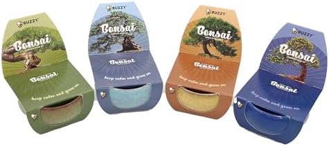 Buzzy Seeds Bonsai Tree Grow Kit 4-Pack, Ceramic Pots, Pine and Spruce by BUZZY