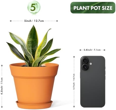 WSMKSZ 5 Inch Plastic Plant Pots with Drainage Holes and Trays – 6 Pack Small Nursery Pots for Indoor & Outdoor House Plants and Flowers, Seedling Starter Planters, Terracotta - Image 3