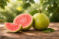 Guava Seeds for Planting 100+ Seeds (1 g) for Indoor & Outdoor Gardening, Heirloom Non-GMO Guava Seeds for Home Garden Pots Backyard Greenhouse by Unknown