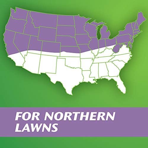 Scotts Turf Builder Grass Seed Perennial Ryegrass Mix, Ideal for High Traffic Areas and Erosion Control, 7 lbs. - Image 5