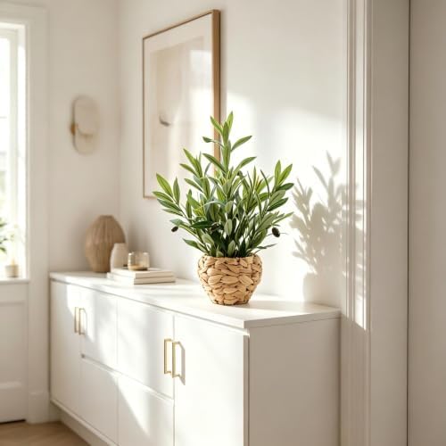 AlphaAcc Fake Potted Plant Small Olive Water Hyacinth Mediterranean Decor - Image 3