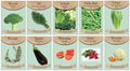Vegetable & Herb Seed Set - 10 Varieties of Non-GMO Heirloom Premium Seeds for Planting - Watermelon, Broccoli, Rosemary, and More! by FreedomFarms