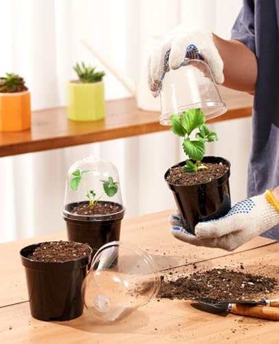 3 Inch Nursery Pots with Humidity Domes for Seed Starting (30 Pcs) - Image 2