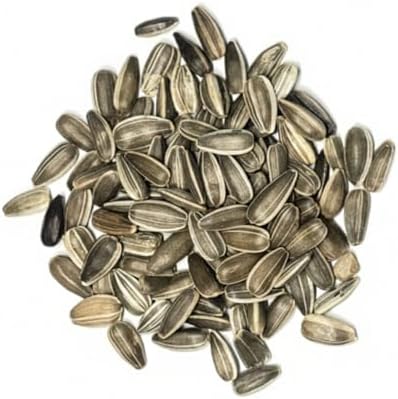 Seed Needs Dwarf Sunspot Sunflower Seeds to Plant Cut Flowers - 10 Packs - Image 6