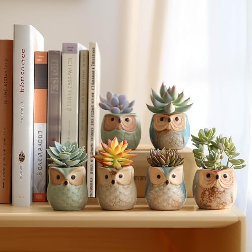 T4U Owl Succulent Pots, Mini Ceramic Gift Pots with Drainage, Retro 6 Pack - Image 4