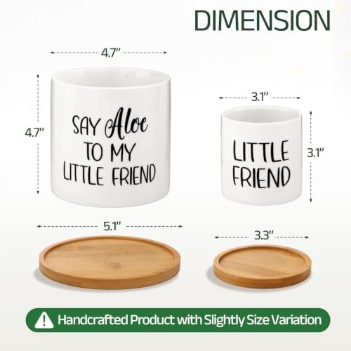 Say Aloe to My Little Friend Planter Pot Plant Lover Set with Bamboo Tray - Image 4