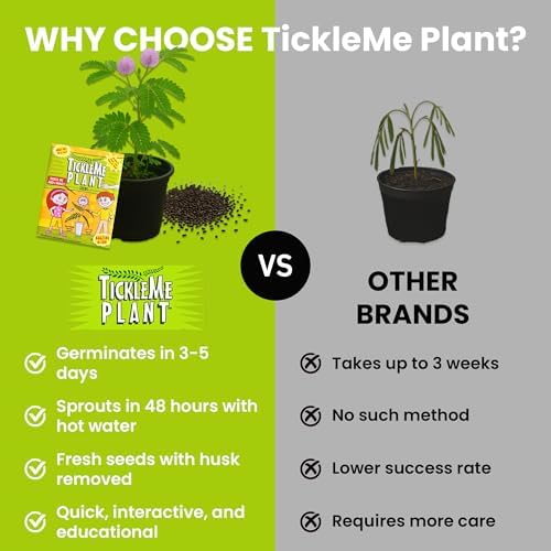 Classroom or Homeschool Science Fun Planting Party Kit – for 30 Students – Grow a Sensitive Plant that Reacts to Touch – Includes Activity Book and Seeds for Kids to Plant - Image 6