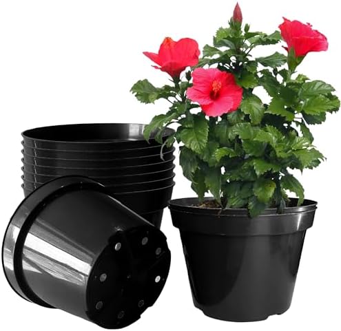 RooTrimmer 10 Inch Plastic Nursery Pots for Plants 10 Pack Plant Pots with Drainage Holes 2 Gallon Nursery Pots Perfect for Indoor Outdoor Plants Such as Herbs, Strwaberrys and Flowers, Black by RooTrimmer