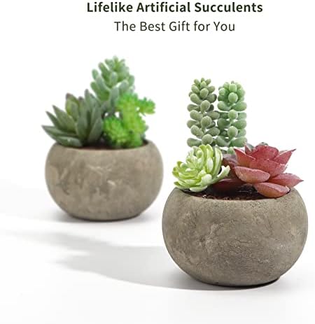 Succulents Plants Artificial 4 Pack, Mini Fake Succulents in Pots, Assorted Small Faux Succulent Decorative for Living Room Home Office Decor - Image 3