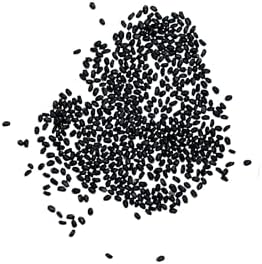 Seed Needs Genovese Sweet Basil Seeds to Plant an Herb Garden - 1 Pack - Image 6