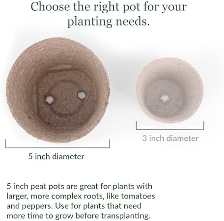 Jiffy Biodegradable Peat Pots for Seedlings, 5 Inch, 100 Pack - Image 5