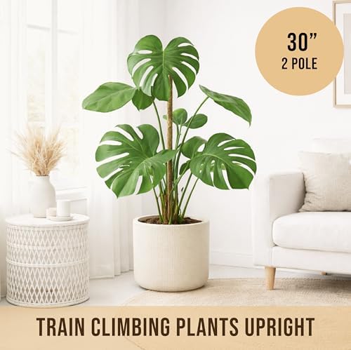 30" Moss Pole Monstera Plant Support, Plant Stakes for Indoor Plants - Image 5