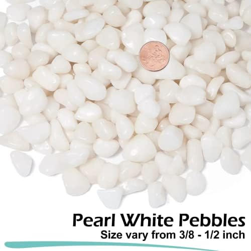 GASPRO White Landscaping Pebbles, 3/8 Inch, 2.5 lbs - Image 2