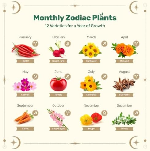 Lush&Dew Zodiac Garden Seed Bank Fire Signs, Gardening Gifts for Women Men - Image 2