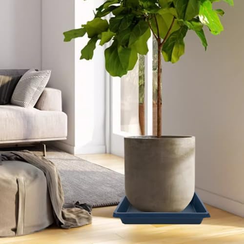 Square Plant Saucer 8 Inch 4 Pack, Saucers for Potted Plants and Water Catcher Tray, Planter Durable Plastic Trays, Plant Drip Trays and Flower Pot Saucers, Plant Saucers for Indoors and Outdoors - Image 6