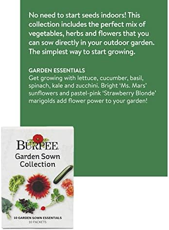 Burpee Garden Sown Flower, Herb & Vegetable 10 Packs of Non-GMO Basil, Lettuce, Cucumber, Radish, Spinach, Kale, Zucchini, Sunflower & Marigold, Seeds for Planting - Image 2