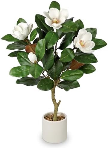 Briful 3 ft Artificial Magnolia Tree with White Flowers in Cream Pot by Briful