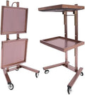 2Tier Metal Rolling Cart,Foldable Utility Carts,Salon Tray Trolley Rosegold by Pinelicorn