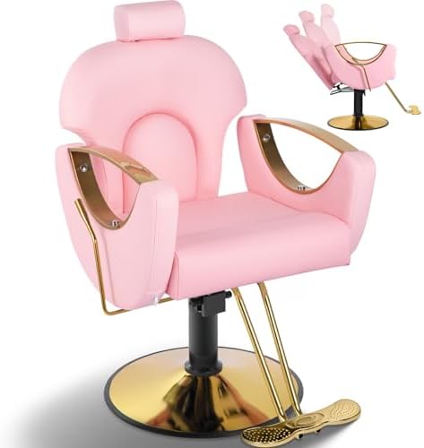 Pink Salon Barber Chair, Reclining Hair Styling Chair for Hair Stylist by Tythical