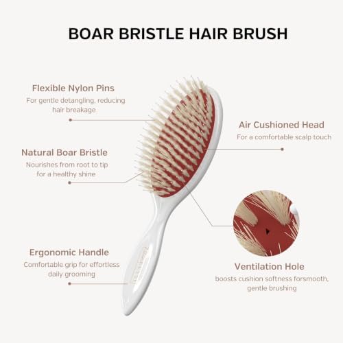 Boar Bristle Hair Brush for Detangling Hair, Smooth Shine & Scalp Massage - Image 3