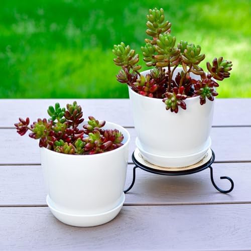 Tergy 50 Pack 4 Inch Plant Pots Bulk Small Plastic Planters Pots with Drainage Holes Flower Pot for Succulent, Cactus, Herb, African Violet (50pcs-White, 4Inches) - Image 3