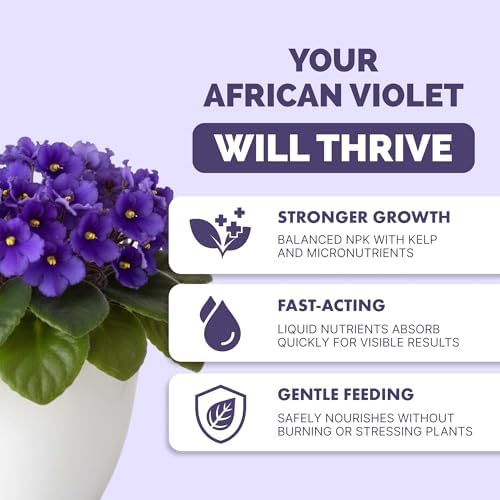 African Violet Fertilizer, Liquid Plant Food for More Blooms, 1 Gallon - Image 2