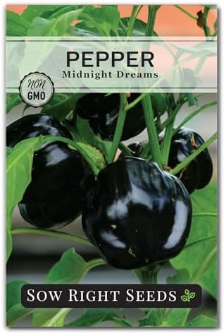 Sow Right Seeds - Midnight Dream Pepper Seed for Planting Bell Peppers by SowRightSeeds