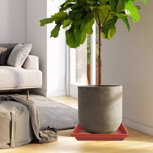 Plant Saucer 12 Inch Square 4 Pack, Plastic Plant Drip Trays, Plant Saucers for Indoors and Outdoors, Flower Pot Saucers, Saucers for Potted Plants, Planter Saucer, Plant Water Catcher Trays for Pots - Image 6