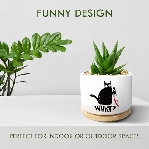 Funny Black Cat Plant Pot for Succulent, Cactus Flower Planter for Indoor Plants, Unique Succulents Pots with Drainage, Cats Owner Gifts, Home Desk Decor Planter Gift for Cat Lover (No Plants) - Image 3