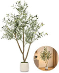 5FT Olive Trees Artificial Indoor with Lights, Realistic Faux Olive Plant by Unknown