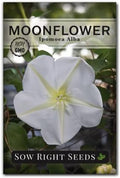 Sow Right Seeds - Moon Flower Seed for Planting Moonflower Night Garden by SowRightSeeds