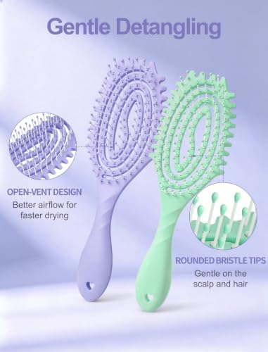 HIPPIH 2 Pack Hair Brush - Wet Dry Detangler Brush, Hair Brushes for Women - Image 3