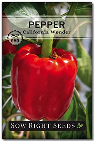Sow Right Seeds - California Wonder Pepper Seed for Planting Outdoors by SowRightSeeds