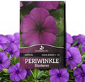Outsidepride Blueberry Periwinkle Seeds for Planting – 50 Pcs Annual, Fast-Blooming, Heat & Drought Tolerant Vinca Flower Seeds with Vibrant Colors Ideal for Gardens, Beds, Borders & Containers by Outsidepride