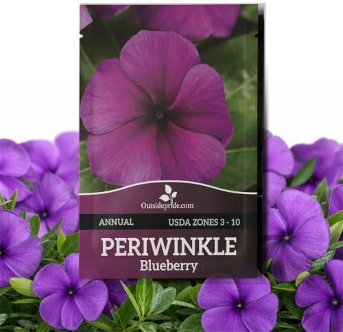 Outsidepride Blueberry Periwinkle Seeds for Planting – 50 Pcs Annual, Fast-Blooming, Heat & Drought Tolerant Vinca Flower Seeds with Vibrant Colors Ideal for Gardens, Beds, Borders & Containers by Outsidepride